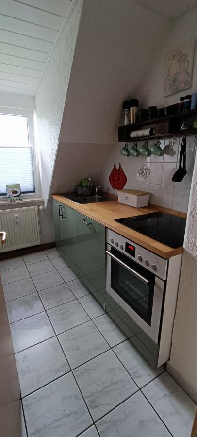 Ferienwohnung Maeurer Leipziger Neuseenland Groitzsch Exterior foto